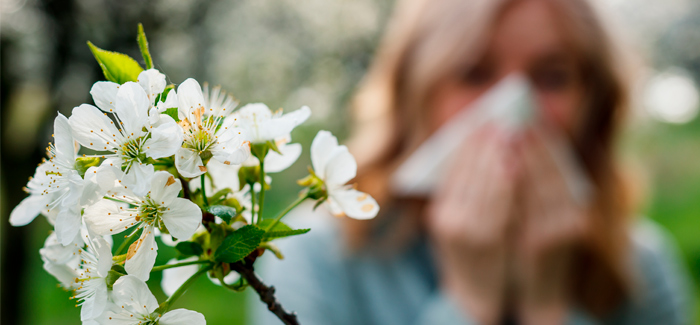 Sofre de alergia à Primavera?